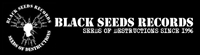 BlackSeed Productions